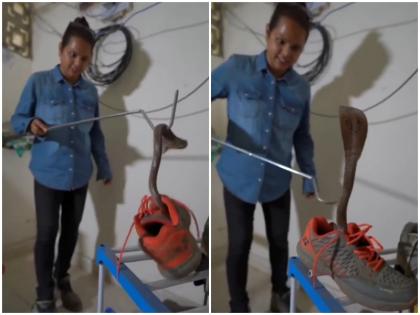 IFS officer shared video of cobra hiding in shoes attacked as soon as he touched | IFS अधिकारी ने साझा किया जूते में छिपे कोबरा का वीडियो, जूते को हाथ लगाते ही किया हमला..