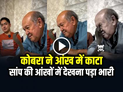 Cobra Snake Bite on Eye Video Goes Viral on Social Media | Viral Video: सांप की आंखों में देखना पड़ा भारी, कोबरा ने आंख में काटा, देखें वीडियो