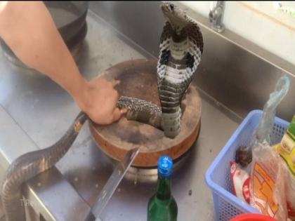 horror of chef killed by snake bite 20 minutes after chopping its head off know the full details | चीन : कोबरा सूप बना रहा था शख्स, 20 मिनट बाद कटे हुए सिर ने ऐसा काट हुई दर्दनाक मौत horror of chef killed by snake bite 20 minutes after chopping its head off know the full details | चीन : कोबरा सूप बना रहा था शख्स, 20 मिनट बाद कटे हुए सिर ने ऐसा काट हुई दर्दनाक मौत