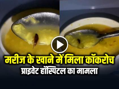 Cockroach Found in Patient Food, case of private hospital, video goes viral | VIDEO: मरीज के खाने में मिला कॉकरोच, प्राइवेट हॉस्पिटल का मामला, वीडियो वायरल Cockroach Found in Patient Food, case of private hospital, video goes viral | VIDEO: मरीज के खाने में मिला कॉकरोच, प्राइवेट हॉस्पिटल का मामला, वीडियो वायरल