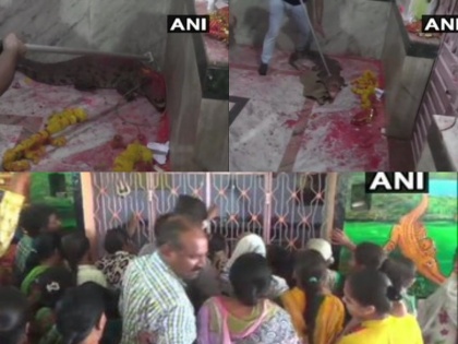 Crocodile enters in Gujarat temple villagers call it auspicious and prayers | गुजरात: मंदिर में घुसा मगरमच्छ, श्रद्धालुओं ने आरती उतारकर की पूजा पाठ