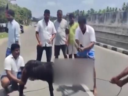 VIDEO BJP Reacts After Horrific Video Shows DMK Supporters Beheading Goat In Coimbatore To Celebrate K Annamalai's Defeat | VIDEO: कोयंबटूर में डीएमके समर्थकों ने अन्नामलाई की हार का जश्न मनाने के लिए काटी बकरे की गर्दन, भयावह वीडियो सामने आने के बाद बीजेपी ने दी प्रतिक्रिया VIDEO BJP Reacts After Horrific Video Shows DMK Supporters Beheading Goat In Coimbatore To Celebrate K Annamalai's Defeat | VIDEO: कोयंबटूर में डीएमके समर्थकों ने अन्नामलाई की हार का जश्न मनाने के लिए काटी बकरे की गर्दन, भयावह वीडियो सामने आने के बाद बीजेपी ने दी प्रतिक्रिया