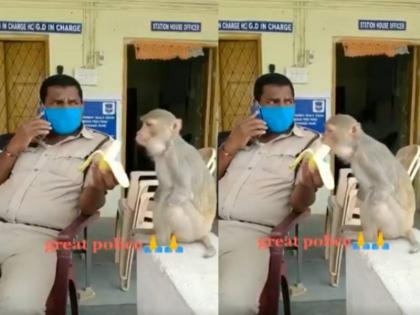 Policeman Patiently Feeds Banana To Monkey With No Hands, Video Viral | पुलिसकर्मी ने बिना हाथों वाले भूखे बंदर को खुद खिलाया केला, वायरल हुआ वीडियो Policeman Patiently Feeds Banana To Monkey With No Hands, Video Viral | पुलिसकर्मी ने बिना हाथों वाले भूखे बंदर को खुद खिलाया केला, वायरल हुआ वीडियो