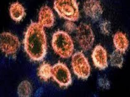 Corona virus another dangerous variant R.1 raised concern spread in 35 countries | कोरोना वायरस के एक और खतरनाक वेरिएंट R.1 ने बढ़ाई चिंता, अमेरिका सहित 35 देशों में फैला