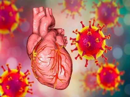 Is heart disease increasing due to corona vaccine? Experts said more study is needed | क्या कोरोना वैक्सीन के कारण बढ़ रही है दिल की बीमारी?, विशेषज्ञों ने बताई और अधिक अध्ययन की जरूरत