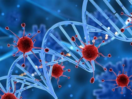 South korea study reveals people more likely to contract coronavirus at home | Coronavirus: घर में भी संक्रमण का खतरा! शोध में खुलासा, बाहर से ज्यादा घरों में संक्रमित हो रहे लोग South korea study reveals people more likely to contract coronavirus at home | Coronavirus: घर में भी संक्रमण का खतरा! शोध में खुलासा, बाहर से ज्यादा घरों में संक्रमित हो रहे लोग