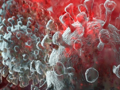Coronavirus may survives on human skin for 9 Hours says Japanese researchers in new discovery | कोरोना को लेकर नई जानकारी, इंसान की त्वचा पर कितनी देर जिंदा रहता है वायरस, जापान के शोधकर्ताओं ने बताया