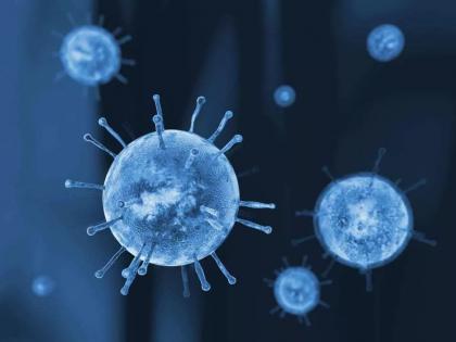 Coronavirus latest update in India: New cases, total cases, total death and active cases in India, covid-19 prevention tips and precaution tips in Hindi | Coronavirus: भारत में कोरोना ने तोड़े सारे रिकॉर्ड, कुल मामले 20 लाख पार, अब तो बस इन 15 तरीकों से ही टल सकता है खतरा