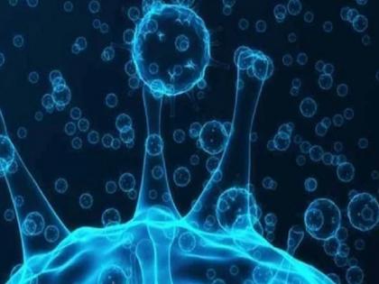 Coronavirus Omicron variant first image shows has more mutations than Delta | कोरोना के ओमीक्रॉन वेरिएंट की 'पहली तस्वीर' आई सामने, वायरस ने इंसानों के मुताबिक खुद को और ढाला, डेल्टा से ज्यादा म्यूटेशन Coronavirus Omicron variant first image shows has more mutations than Delta | कोरोना के ओमीक्रॉन वेरिएंट की 'पहली तस्वीर' आई सामने, वायरस ने इंसानों के मुताबिक खुद को और ढाला, डेल्टा से ज्यादा म्यूटेशन