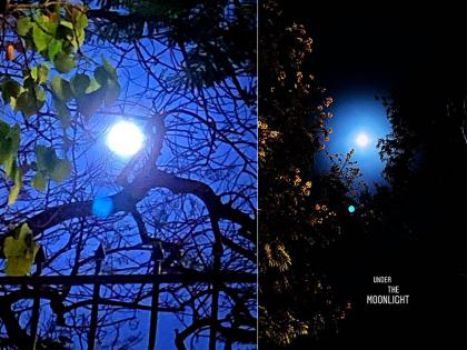 Bollywood celebs share breathtaking visuals of Supermoon!