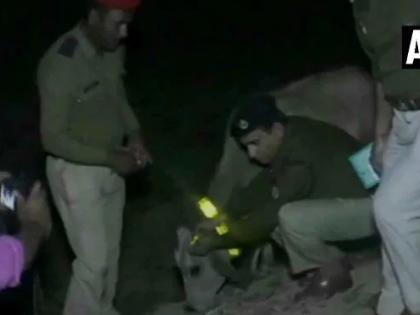 14 cattle dead in Uttar Pradesh after consuming poisonous fodder | जहरीला चारा खाने के बाद उत्तरप्रदेश में 14 मवेशियों की मौत, जांच जारी