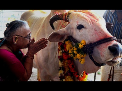 Uttarakhand Assembly passes resolution to declare cow as'Rasthra Mata' | उत्तराखंड बना गाय को 'राष्ट्रमाता' घोषित करने वाला पहला राज्य, मोदी सरकार के पास भी जाएगा प्रस्ताव