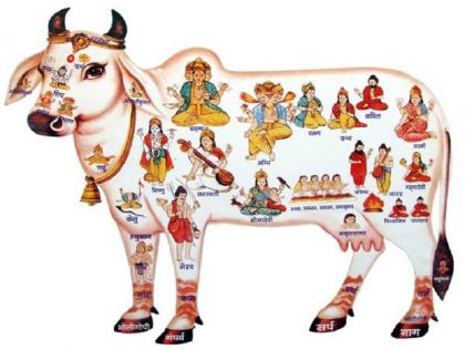 Govatsa Dwadashi 2019: Hindu festival dedicated to Cow, Here is auspicious time and worship method | Govatsa Dwadashi 2019: गोवत्स द्वादशी कब है, जानें शुभ मुहूर्त और पूजा विधि Govatsa Dwadashi 2019: Hindu festival dedicated to Cow, Here is auspicious time and worship method | Govatsa Dwadashi 2019: गोवत्स द्वादशी कब है, जानें शुभ मुहूर्त और पूजा विधि