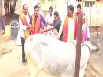BJP MP gets kicked by cow: Old video surfaces as netizens mock ‘Cow Hug Day’ | Cow Hug Day: बीजेपी सांसद को गाय द्वारा लात मारने का पुराना वीडियो आया सामने, सोशल मीडिया पर यूजर्स ने उड़ाया मजाक