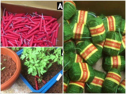 Karnataka Mangaluru has made eco-friendly crackers that do not smoke or make sound Paper Seed Company | कर्नाटक में बनाए गए बिना धुआं और ध्वनि वाले पटाखे, मिट्टी में डालने के बाद उगाई जा सकेंगी सब्जियां