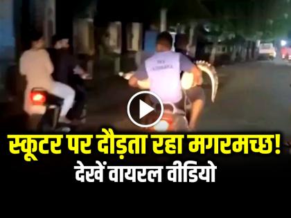 Crocodile Riding On Bike Viral Video 2 men Carrying a crocodile on a scooter | Viral Video: स्कूटर पर दौड़ता रहा मगरमच्छ!, देखें वीडियो
