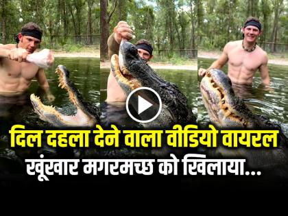Crocodile Shocking Video Goes Viral Man Feed Turkey Leg To Crocodile With His Hands | VIDEO: खूंखार मगरमच्छ को खाना खिलाता शख्स, दिल दहला देने वाला वीडियो वायरल Crocodile Shocking Video Goes Viral Man Feed Turkey Leg To Crocodile With His Hands | VIDEO: खूंखार मगरमच्छ को खाना खिलाता शख्स, दिल दहला देने वाला वीडियो वायरल