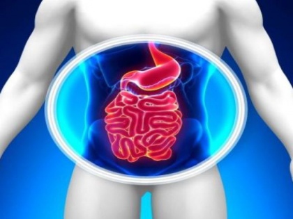 inflammatory bowel disease Crohn's disease signs and symptoms, causes, treatment and prevention tips, food eat avoid in crohn's disease | Crohn's disease : आंतें गलाने वाली इस बीमारी के होने से पहले शरीर देता है 12 चेतावनी, ऐसे बचें