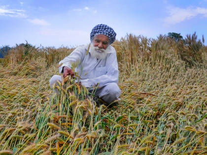 crops climate change minerals | ब्लॉग: फसलों पर जलवायु परिवर्तन की तीखी मार