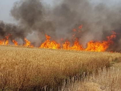 In Rohtas district of Bihar, the standing wheat crop in 17 bighas was destroyed due to fire in the field | बिहार के रोहतास जिले में खेत में लगी आग से 17 बीघा में खड़ी गेहूं की फसल जलकर हुई खाक