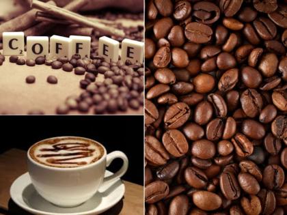 History of coffee | कॉफी का सफर:बाग से कॉफी कैफे तक की कहानी  