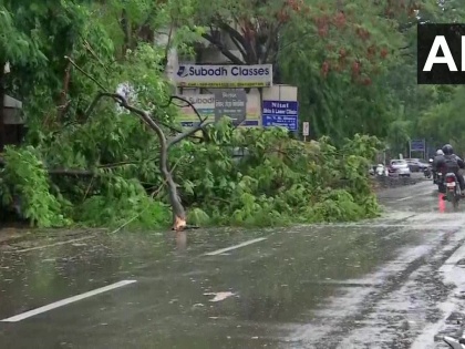 Cyclone Nisarga Ten sailors rescued, trees and electric poles razed in Alibaug, CM takes note of relief | Cyclone Nisarga: दस नाविकों को बचाया गया, अलीबाग में पेड़ और बिजली के खंभे धराशायी, सीएम ने राहत पर ध्यान दें