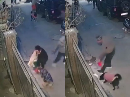 Terror of dogs is not stopping in Delhi now dog attacks 2 year old child in East Delhi | दिल्ली में नहीं थम रहा कुत्तों का आतंक, अब पूर्वी दिल्ली में कुत्ते ने 2 साल के बच्चे पर किया हमला