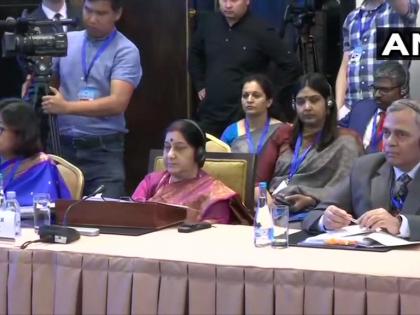 External Affairs Minister, Sushma Swaraj at the meeting of Council of Foreign Ministers (CFM) of Shanghai Cooperation Organisation in Bishkek, Kyrgyzstan. | स्वराज ने कहा, हमारी संवेदनाएं भीषण आतंकी कृत्य के गवाह बने श्रीलंका के हमारे लोगों के साथ हैं, पुलवामा से मिले जख्म अभी हरे है