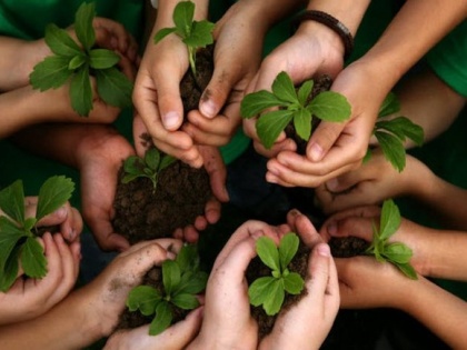 We Must Connect Ourselves With The Environment: PM Modi | पीएम मोदी ने ट्विट में लिखा, हमारा ग्रह और पर्यावरण बहुत अमूल्य है, बोले- पौधे को पेड़ बनाओ