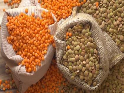 Now in Bihar, pulses and oilseeds products will be purchased at MSP, decision taken in the cabinet meeting | बिहार में अब दलहन और तिलहन उत्पादों की खरीद एमएसपी पर होगी, कैबिनेट की बैठक में लिया गया निर्णय