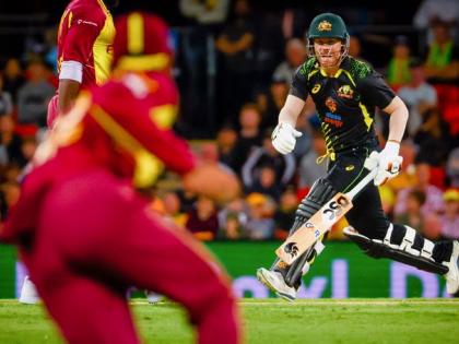 Australia beat West Indies second T20I and win series 2-0 David Warner Player of the Match and Series | ऑस्ट्रेलिया ने वेस्टइंडीज को हराकर सीरीज 2-0 से जीती, सलामी बल्लेबाज ने प्लेयर ऑफ द सीरीज और मैच पर किया कब्जा