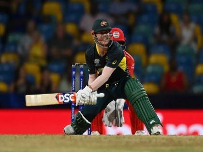 David Warner created history by leaving Virat Kohli behind became the 5th batsman to score the most runs in T20 cricket | विराट कोहली को पीछे छोड़ डेविड वॉर्नर ने रचा इतिहास, टी20 क्रिकेट में सबसे ज्यादा रन बनाने वाले बनें 5वें बल्लेबाज