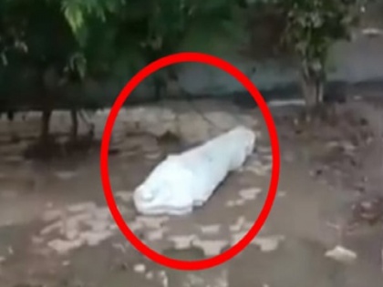 Ghaziabad Body lying on roadside creates panic, turns out to be sleeping man video goes viral | सड़क किनारे सफेद प्लास्टिक की चादर ओढ़ लेटा था शख्स, डेड बॉडी समझ हटाने गई पुलिस तो हुआ कुछ ऐसा, देखें Video