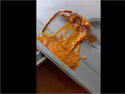 UP: Dead 'rat' found in food in Hapur's Medical College canteen, video viral | यूपी: हापुड़ के मेडिकल कॉलेज के कैंटीन में खाने में मिला मरा हुआ 'चूहा', Viral Video