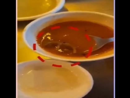 Watch Dead rat found in Sambar after chocolate syrup scary video of Ahmedabad restaurant goes viral | Watch: चॉकलेट सिरप के बाद सांभर में मिला मरा चूहा, अहमदाबाद के रेस्टोरेंट का डरा देने वाला वीडियो वायरल