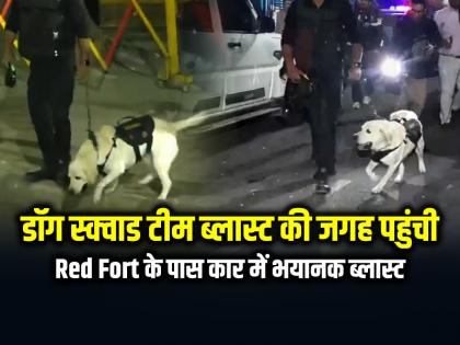 Delhi Blast Dog squad team arrives to investigate the blast, 8 people dead | Delhi Blast: डॉग स्क्वाड टीम ब्लास्ट की जांच करने पहुंची, अब तक 8 लोगों की मौत Delhi Blast Dog squad team arrives to investigate the blast, 8 people dead | Delhi Blast: डॉग स्क्वाड टीम ब्लास्ट की जांच करने पहुंची, अब तक 8 लोगों की मौत