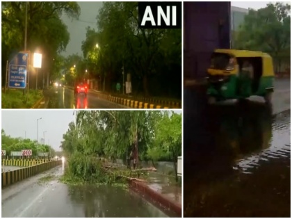 Delhi-NCR hit by thunderstorms power cuts in some parts air traffic affected | दिल्ली-एनसीआर में तेज आंधी के साथ बारिश, गिरे कई पेड़, कुछ हिस्सों में बिजली कटौती; हवाई यातायात प्रभावित