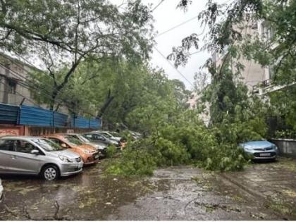 Delhi-NCR Rains, Weather Today LIVE Updates 4 Killed, Over 120 Flights Delayed After Heavy Rain, Dust Storm In Delhi-NCR urgent work says CM Rekha Gupta video | Delhi-NCR Rains Weather Today Updates: दिल्ली-एनसीआर में भारी बारिश और आंधी के बाद 4 की मौत, 120 से अधिक उड़ानें विलंबित, देखें मंजर Delhi-NCR Rains, Weather Today LIVE Updates 4 Killed, Over 120 Flights Delayed After Heavy Rain, Dust Storm In Delhi-NCR urgent work says CM Rekha Gupta video | Delhi-NCR Rains Weather Today Updates: दिल्ली-एनसीआर में भारी बारिश और आंधी के बाद 4 की मौत, 120 से अधिक उड़ानें विलंबित, देखें मंजर