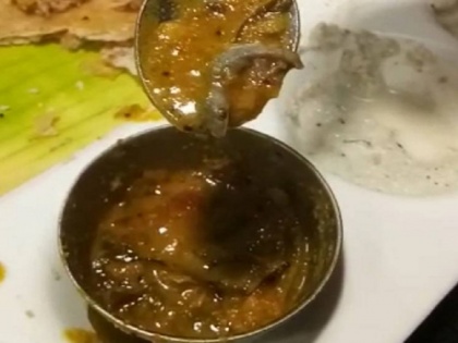 Delhi lizard found in sambar at famous connaught place south indian restaurant FIR lodged | दिल्ली में कनॉट प्लेस के मशहूर रेस्तरां के सांभर में मिली मरी हुई छिपकली, वीडियो वायरल, पुलिस ने जांच शुरू की