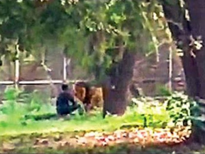 Transfer of director of Delhi Zoo, action on young man's jump in lion's enclosure | दिल्ली चिड़ियाघर की निदेशक का तबादला, शेर के बाड़े में युवक के कूदने पर हुई कार्रवाई