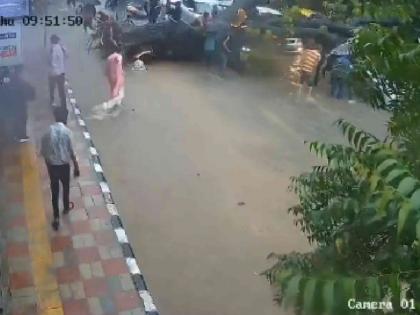 Delhi tree fell amid heavy rain in Kalkaji area father and daughter riding motorcycle injured | Delhi Rain: स्कूटर पर जा रहे पिता-पुत्री पर गिरा पेड़, कालकाजी इलाके में हुआ हादसा