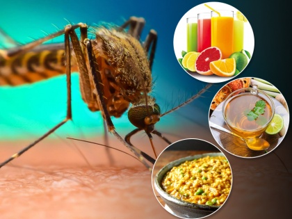 Dengue fever treatment Home Remedies to treat dengue fever and increased platelets, diet tips and food list for dengue patients in Hindi | Dengue Fever Treatment: डेंगू बुखार का इलाज, अपनाएं ये घरेलू उपाय, तेजी से बढ़ेगी प्लेटलेट्स