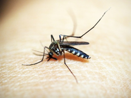 Dengue in Bihar Dengue havoc continues figure 7000 huge crowd in Patna hospital | Dengue in Bihar: डेंगू कहर जारी, आंकड़ा 7000, पटना अस्पताल में भारी भीड़