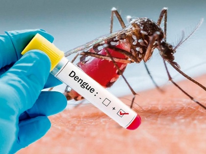 Dengue In Children These symptoms can be seen in children there can be a risk of dengue know what to do or not | Dengue In Children: बच्चों में दिखें ये लक्षण तो हो सकता है डेंगू का खतरा, जानें क्या करें क्या न?