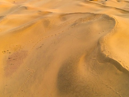 world desertification and drought day: Increasing desert and drought are big challenges today | ब्लॉग: हरियाणा, दिल्ली, यूपी तक भविष्य में पहुंच जाएगा रेगिस्तान! आखिर क्यों है ऐसी आशंका?