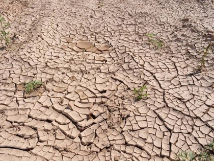 Desertification is becoming a serious problem of the world | ब्लॉग: दुनिया की विकट समस्या बन रहा मरुस्थलीकरण