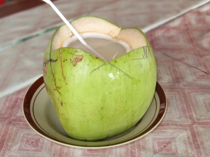 No water is flowing out of coconut in Bihar, know what is the whole matter nitish kumar sharab ban | बिहार में अब नारियल से पानी नहीं शराब निकल रहा है, जानें शराब बंदी के बाद किस तरह बेचा जा रहा शराब