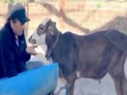 bollywood actor dharmendra expresses his love for animals video viral on social media | VIDEO: बछड़े को चारा खिलाते नजर आए धर्मेंद्र, कहा- इनके साथ मिलती है एक अलग खुशी