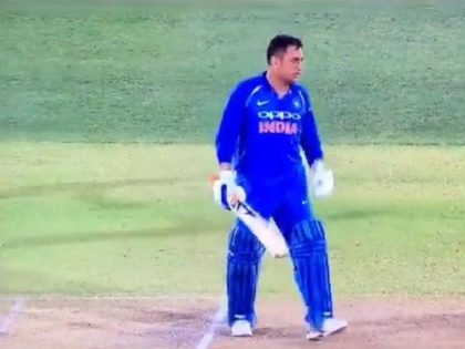 India vs Australia: MS Dhoni ran one run short, umpires missed it, claims a viral video | IND vs AUS: धोनी ने दूसरे वनडे में की थी ये 'गलती', हार सकती थी टीम इंडिया, वायरल वीडियो से उठे 'सवाल'