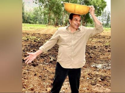 dharmendra doing farming feeding cows alphonso mango | ग्लैमर जिंदगी छोड़कर कुछ ऐसे जी रहे हैं धर्मेंद्र, दिल छू जाने वाले वीडियो हुए वायरल